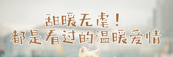 甜暖無虐！都是看過的溫暖愛情